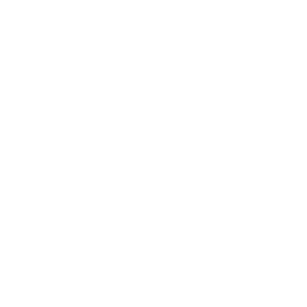 chirey-logo
